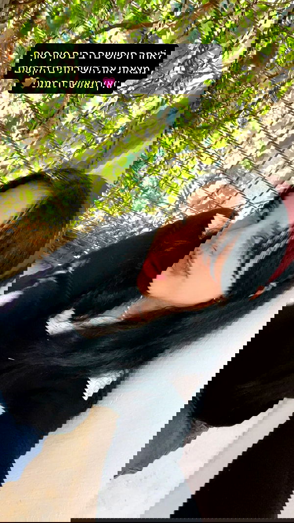 dante_yangpa dante_yangpa archive image