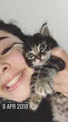 evasela__ Altpins Profile Picture