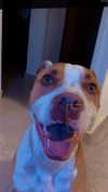 _mashachka_ Altpins Profile Picture