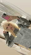 alien.hanna Altpins Profile Picture