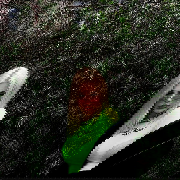 annfigmax image ~ Altpins