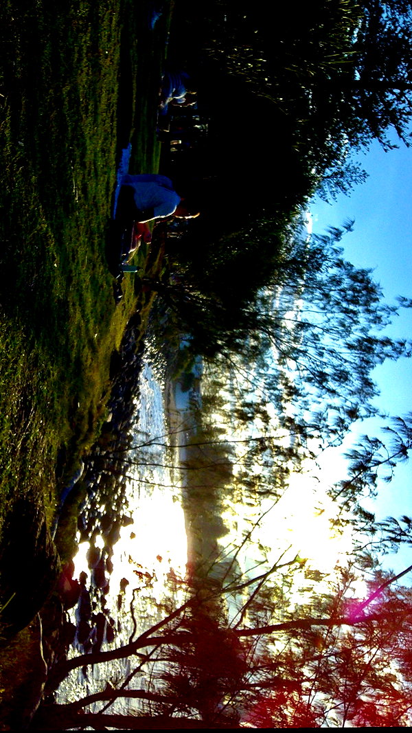 daisy_r_19 archive image