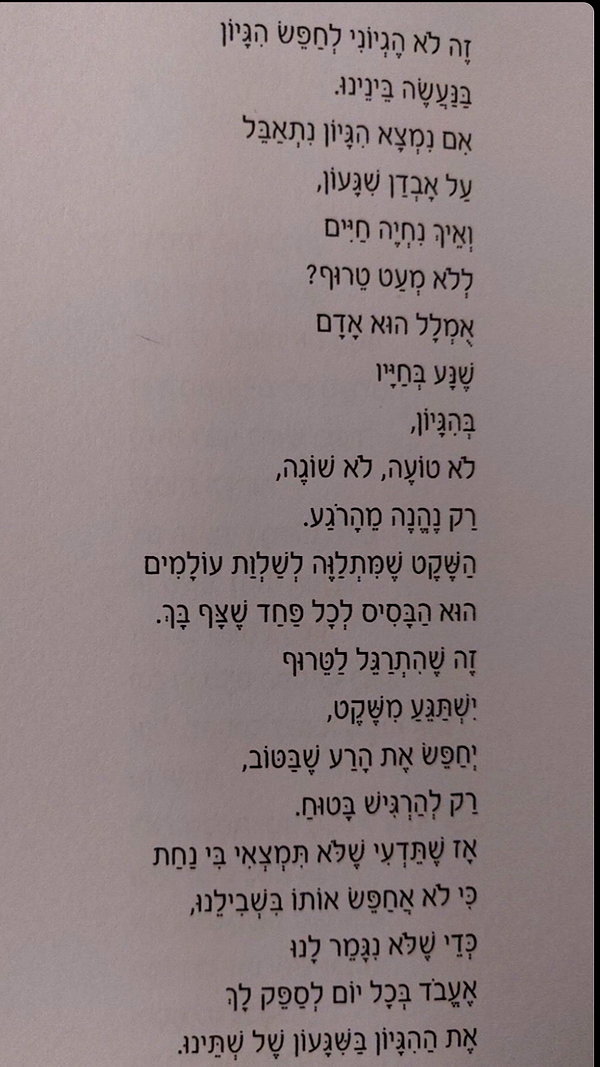 ofri.elul archive image