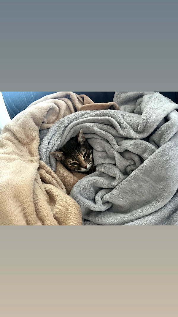Archived image from @notchicore on Instagram