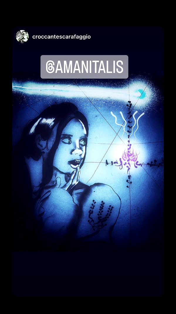 amanitalis instagram image archive image