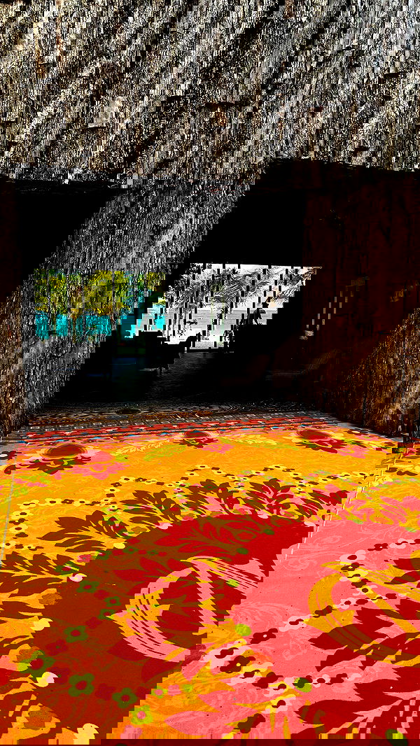 taylor.creeden taylor.creeden archive image