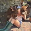 skylasanders Altpins Profile Picture