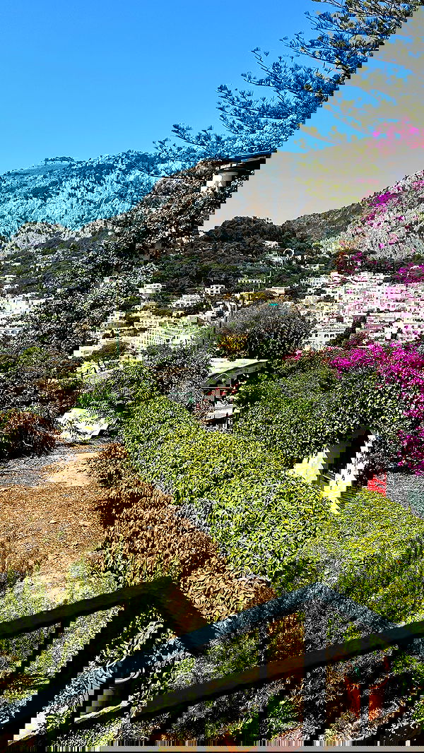 taylor.creeden taylor.creeden archive image