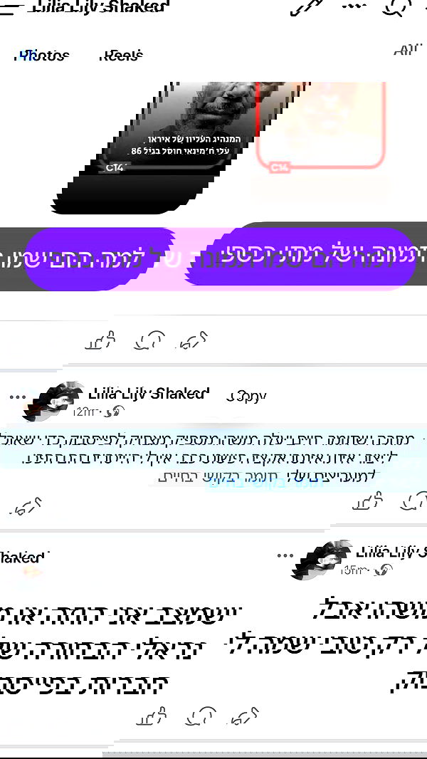 moonliliaght moonliliaght archive image