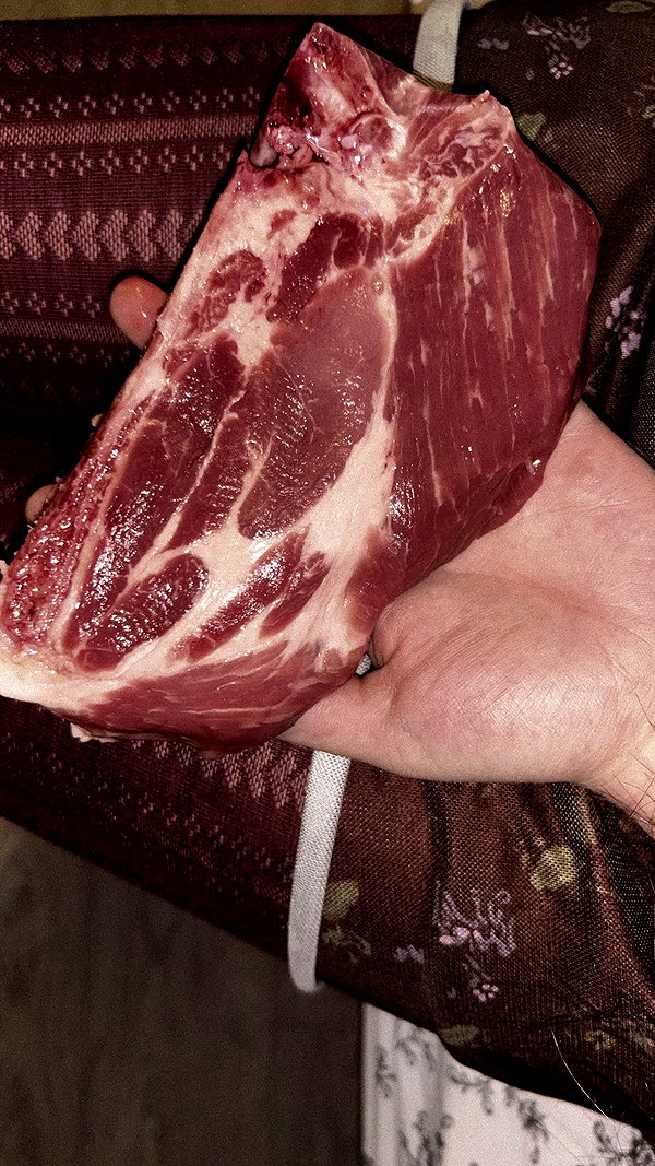 rcarrnattion instagram image archive image