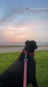 hodaya_glam12 Altpins Profile Picture