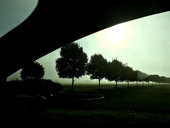 hallucineon instagram image archive image