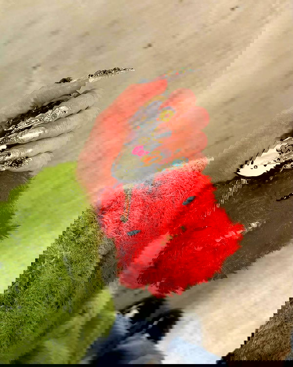 jtilb2 image ~ Altpins