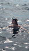 carolinezalog Altpins Profile Picture