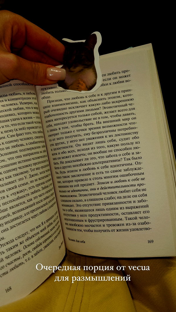 1vecua instagram image archive image