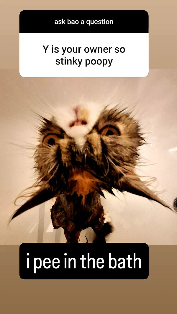 mirekyarahire instagram image archive image