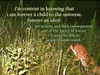 bugz4brainz Altpins Profile Picture