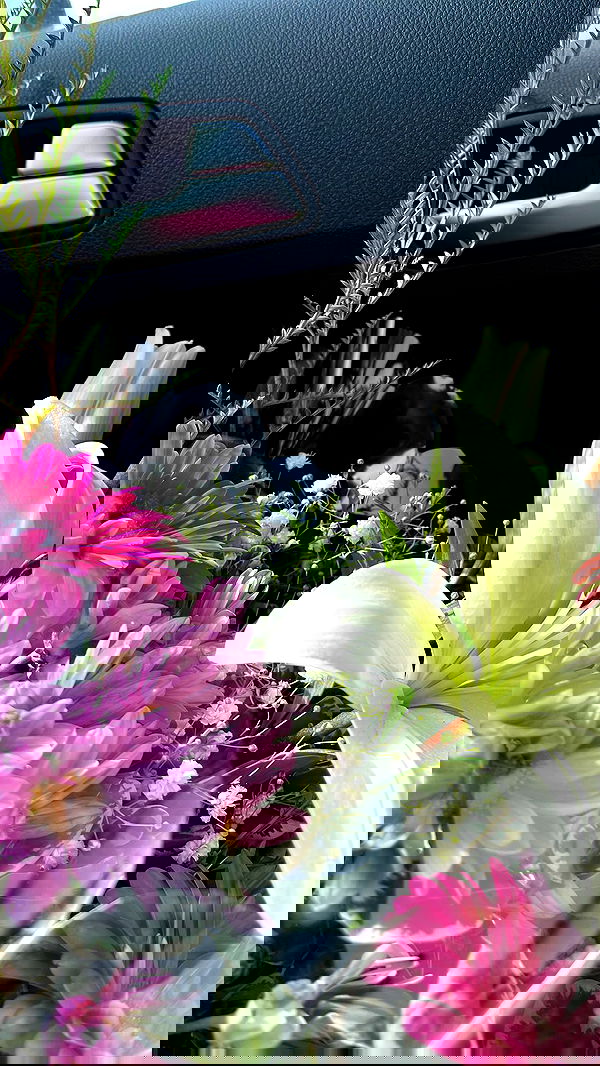 tairmar tairmar archive image