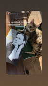demimoore Altpins Profile Picture