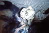amellliiaa Altpins Profile Picture
