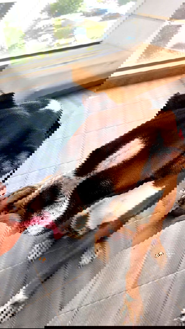 noammalka___ noammalka___ archive image