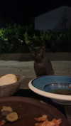 _broock_ Altpins Profile Picture