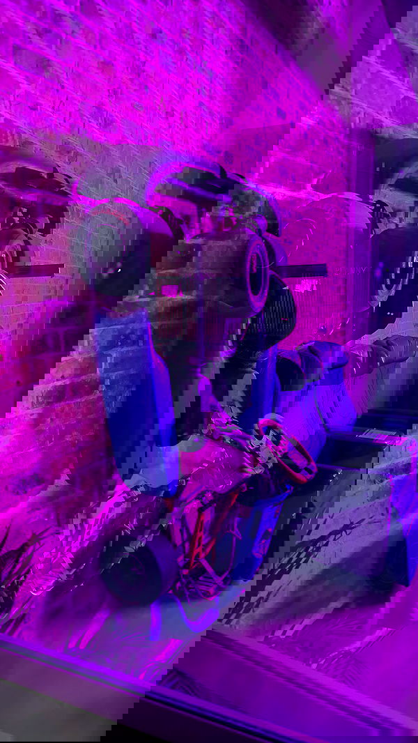 roee_mor_62 roee_mor_62 archive image