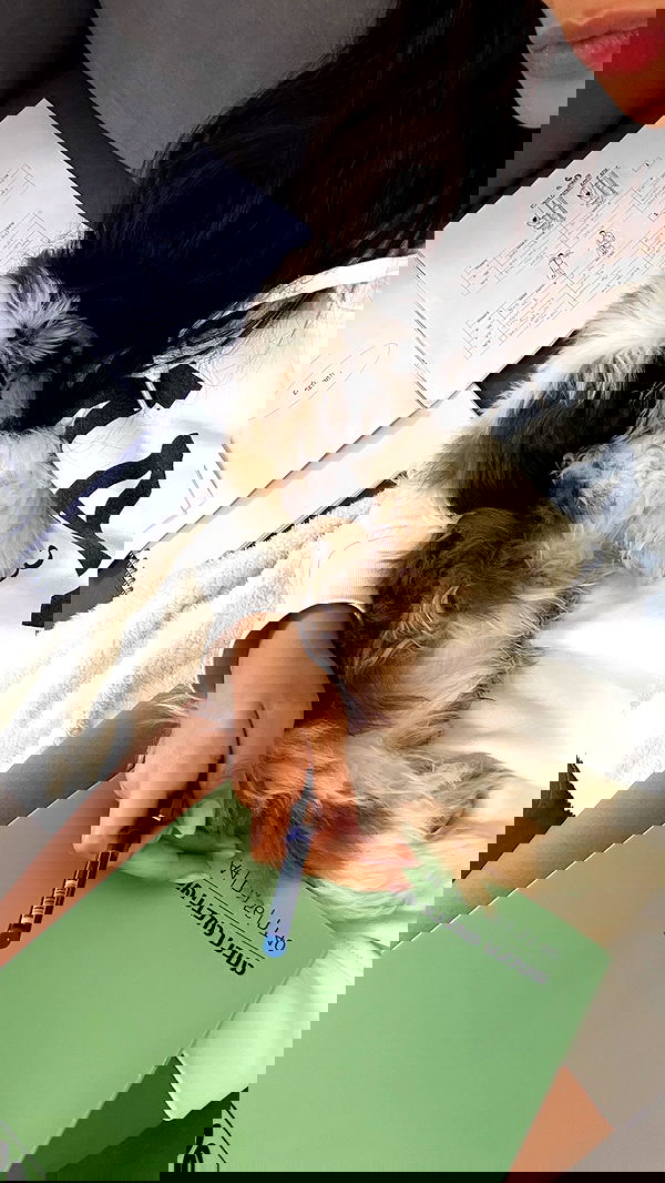 noammalka___ noammalka___ archive image