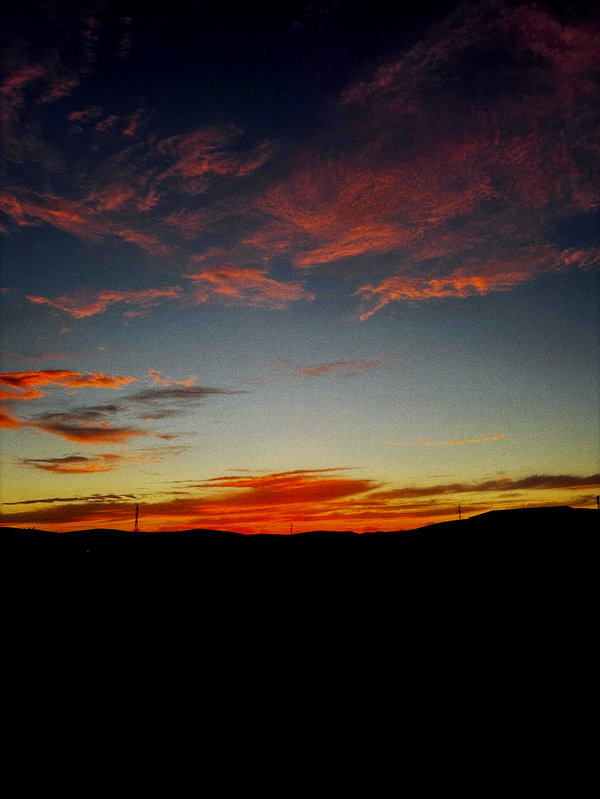 rei.sigalov instagram image archive image