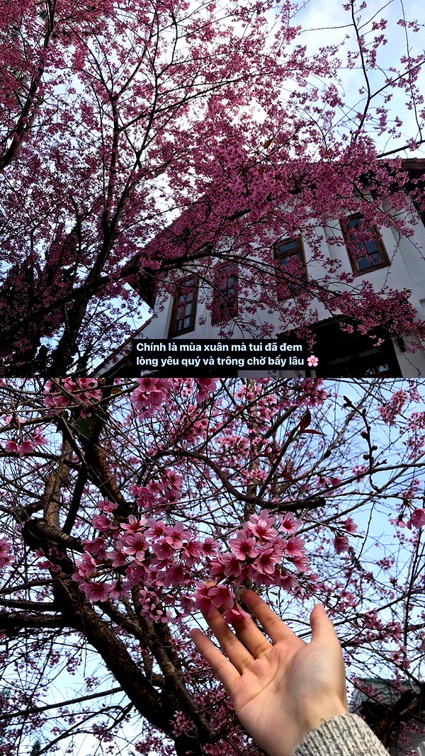 Archived image from @peaceplusyou on Instagram