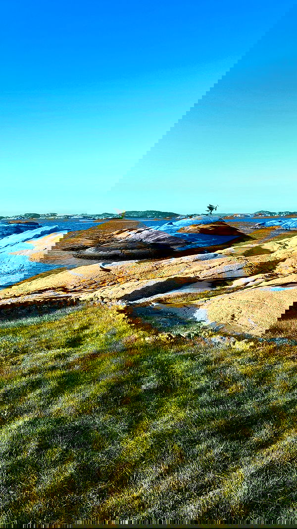 taylor.creeden taylor.creeden archive image