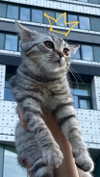 milena_milachich Altpins Profile Picture