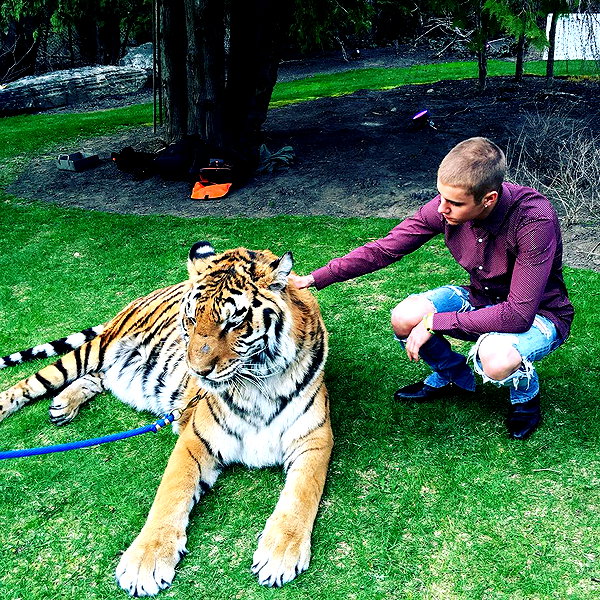 lilbieber instagram image archive image