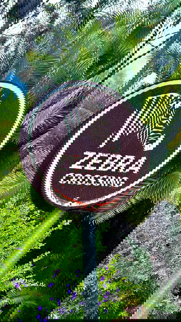 taylor.creeden taylor.creeden archive image