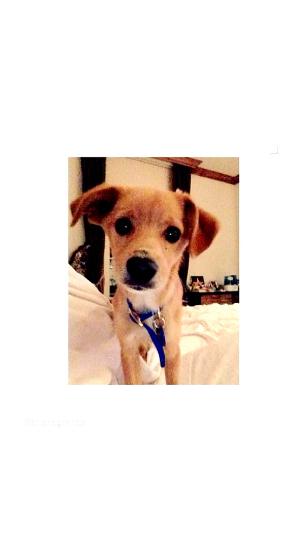 arianagrande instagram image archive image
