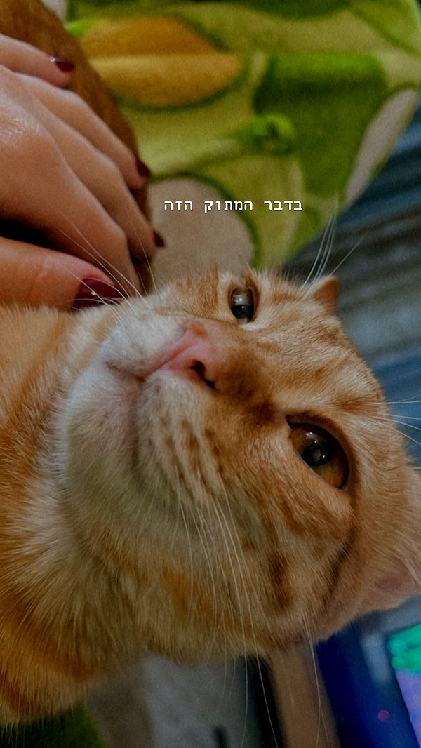 eva_romanovski instagram image archive image