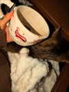 jenxwestt Altpins Profile Picture