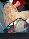 ninastodden Altpins Profile Picture