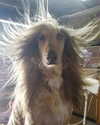 anya4everr Altpins Profile Picture