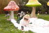 mileycyrus Altpins Profile Picture