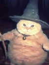 ellaexplicit_ Altpins Profile Picture