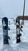 michalcohen___ Altpins Profile Picture