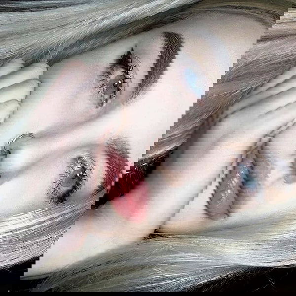 annfigmax image ~ Altpins