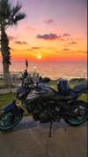 shanidahan7 Altpins Profile Picture