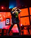 avrillavigne Altpins Profile Picture