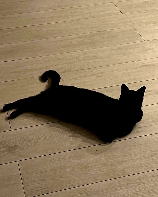 peachtoot.plz instagram image archive image