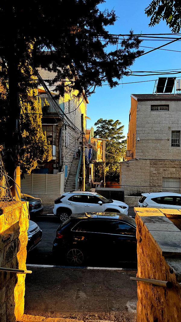 assoolin instagram image archive image