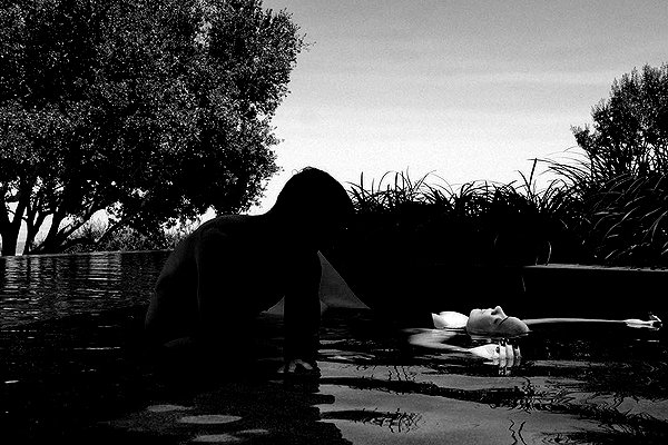 adele instagram image archive image