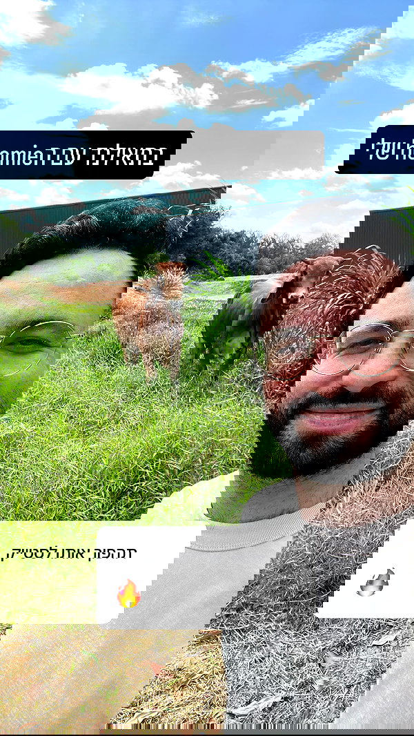 sapir_shemer sapir_shemer archive image