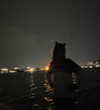 macaroni_naomi Altpins Profile Picture